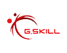 G-Skill SSD Data Recovery Service