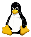 Linux Data Recovery Service