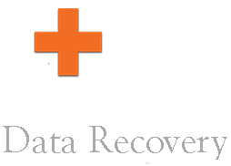 File Savers Data Recovery Logo